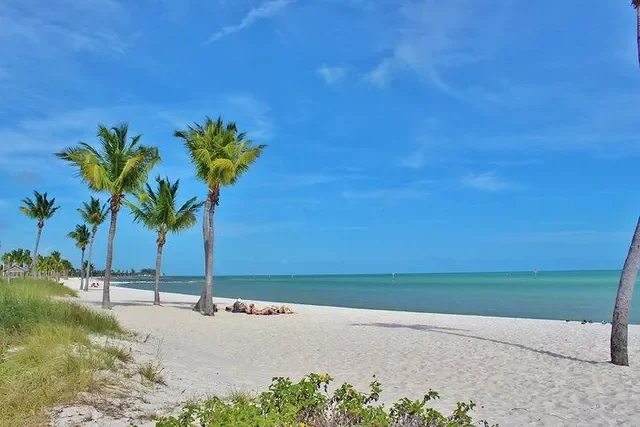 Key West: Sunset Sail Full Bar, Live Music & Dinner & Early Morning Snorkeling